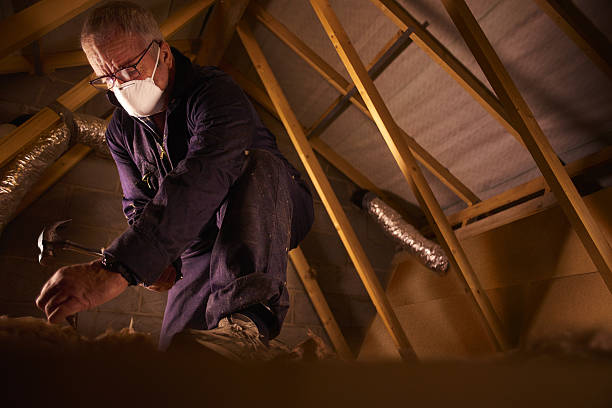 Best Commercial Insulation in Jeannette, PA